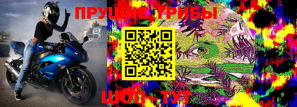 Галлюциногенные грибы мухоморы  Галлюциногенные грибы Magic Shrooms  Тюмень  Вход с VPN 